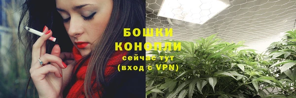 молекула духа Лиски