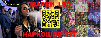 гидра Ставрополь