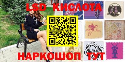 гидра Ставрополь