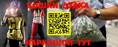 гидра Ставрополь