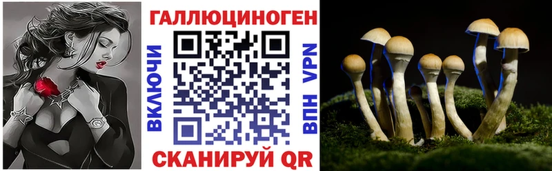 Галлюциногенные грибы Psilocybine cubensis  дарк нет официальный сайт  Шахты  закладки 